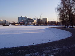 Altufyevo pond in winter
